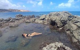 Chales Panulirus